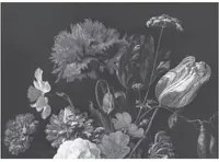 KEK Amsterdam Carta da parati panoramica Golden Age Flowers 11 - L