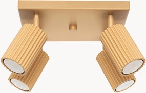 Faretti da soffitto piccoli Gleam