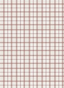 Coordonne Carta da parati Check 11.5 - Gamba
