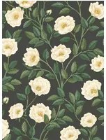 Cole & Son Carta da parati Hampton Roses - 118/7016