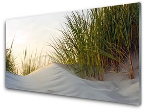 Quadro vetro Paesaggio in erba di sabbia 100x50 cm