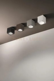 Plafoniera per esterni nevada 1 luce attacco gu10 silver