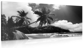 Quadro su tela – Spiaggia stupenda sull'isola delle Seychelles in bianco e nero