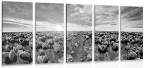 Quadri 5 pezzi – Alba su un prato con tulipani in bianco e nero