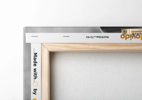 Stampa su tela – Orchidea e pietre Zen in bianco e nero