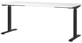 Tavolo da lavoro ad altezza regolabile elettricamente con piano bianco 80x180 cm Jet - Germania