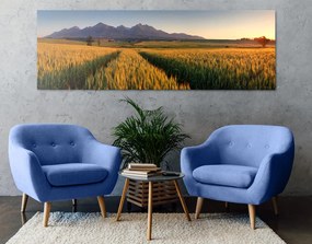 Stampa su tela – Tramonto su campo di grano