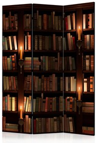 Paravento separè Scaffali con libri (3-parti) - composizione con libreria di legno