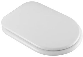 Sedile wc originale per water bidet combinato per disabili e anziani