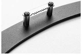 Decorazione murale in metallo 47x66 cm Branch &amp; Birds - Wallity