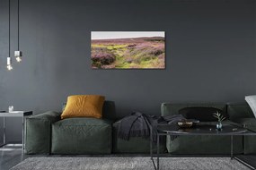 Quadro su tela Campo heather 100x50 cm