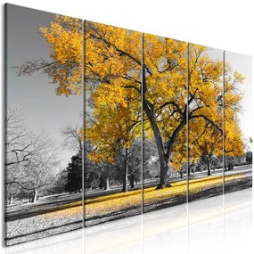 Quadro Autumn in the Park (5 Parts) Narrow Gold  Colore Grigio, Dimensioni e Misure 225x90