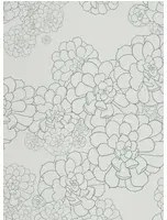 Paint & Paper Library Carta da parati Aeonium - Blue Gum