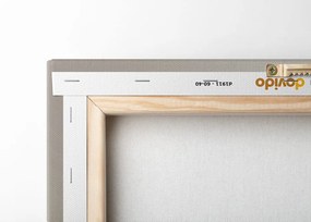 Quadro su tela – Arcobaleno elegante Mid-Century