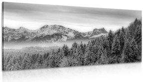 Stampa su tela – Montagne congelate in bianco e nero