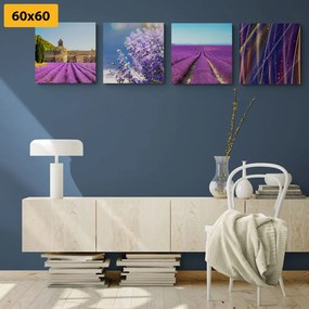 Set di quadri – Campo di lavanda con astrazione