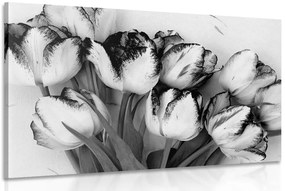 Quadro su tela – Tulipani primaverili in bianco e nero