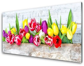 Quadro in vetro acrilico Tulipani, fiori, natura 100x50 cm