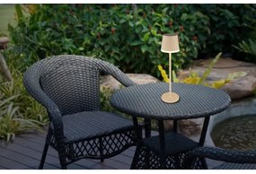 Globo 36637S - Lampada LED solare SOLAR LED/0,6W/3V 3000K IP44 beige