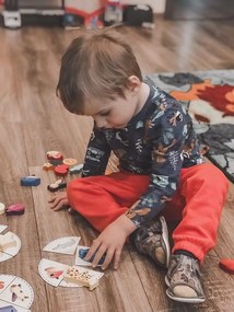 Vilac - Tocca e trova, gioco in legno