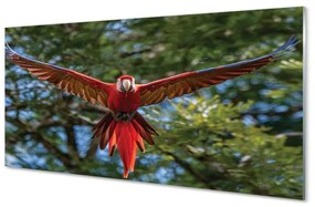Quadro acrilico Ara pappagallo 100x50 cm