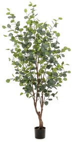 Albero Di Eucalipto Artificiale İn Vaso 140 Cm /