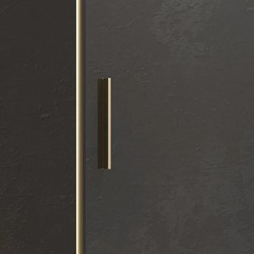 Kamalu - Porta doccia nicchia 100 cm profilo oro opaco | KEF4000