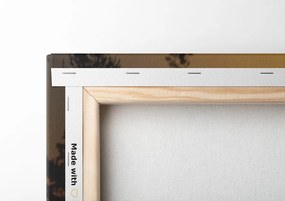 Stampa su tela – Steli d'erba al tramonto