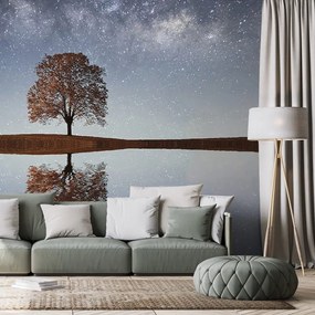Carta da parati autoadesiva – Cielo stellato sopra l'albero solitario