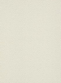 Paint & Paper Library Carta da parati Seedpod - Wattle