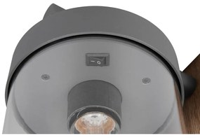 Illuminazione esterna da parete (altezza totale 33 cm) Sambesi – Trio