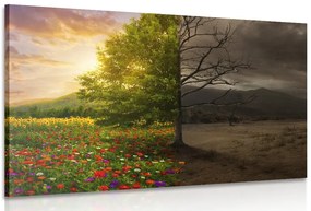 Stampa su tela – Due aspetti dell'albero