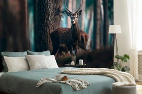 Carta da parati – Cervo nel bosco