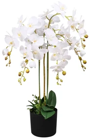 Orchidea Artificiale Con Vaso75 Cm Bianca /