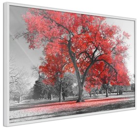 Poster Red Tree