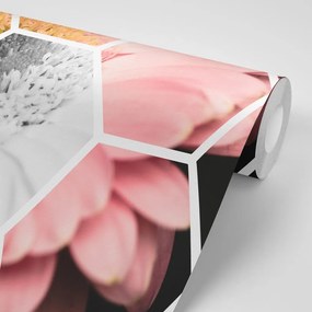 Carta da parati autoadesiva – Gerbera in esagono