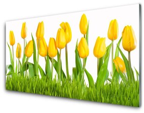 Quadro acrilico Tulipani Sul Muro 100x50 cm