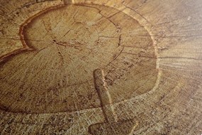 Stampa su tela – Cuore intagliato su tronco