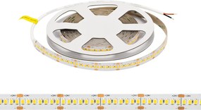 Striscia LED 24V 25W/m Altissima Luminosità Professionale - IP20 - 5 metri