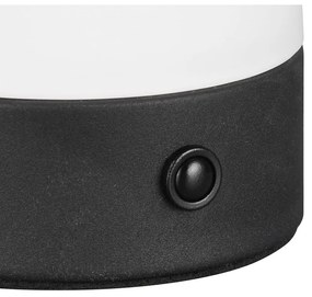 Lampada da tavolo LED bianco opaco con paralume in vetro (altezza totale 18 cm) Dooley – Trio