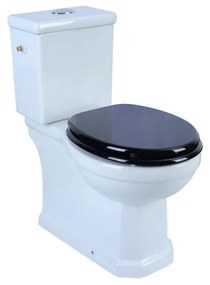 Vaso WC monoblocco Sensea Charm