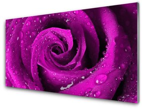 Pannello rivestimento parete cucina Natura della pianta del fiore della rosa 100x50 cm