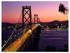 Fotomurale  Charming evening in San Francisco  Colore Nero, Dimensioni e Misure 250x193