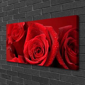 Quadro su tela Fiori di rose 100x50 cm