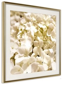 Poster  Soothing Flowers  Cornice Quadri Cornice d'oro con passe-partout, Larghezza x Altezza Home decor 20x20