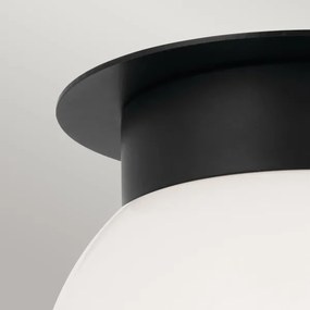 Kichler KL-ALBERS-F-G-BK - Plafoniera ALBERS 1x E27/40W/230V, Ø 20,3 cm, nero