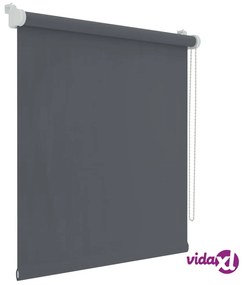 Decosol Tendina a Rullo Oscurante Antracite 57x160 cm
