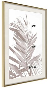 Poster  Beige Palm  Cornice Quadri Cornice d'oro con passe-partout, Larghezza x Altezza Home decor 40x60