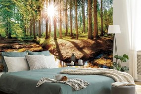 Carta da parati – Foresta da Favola