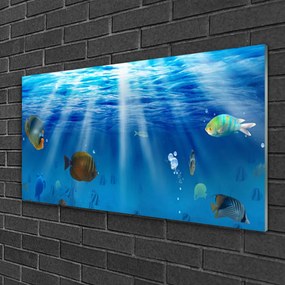 Quadro vetro Pesce Natura 100x50 cm